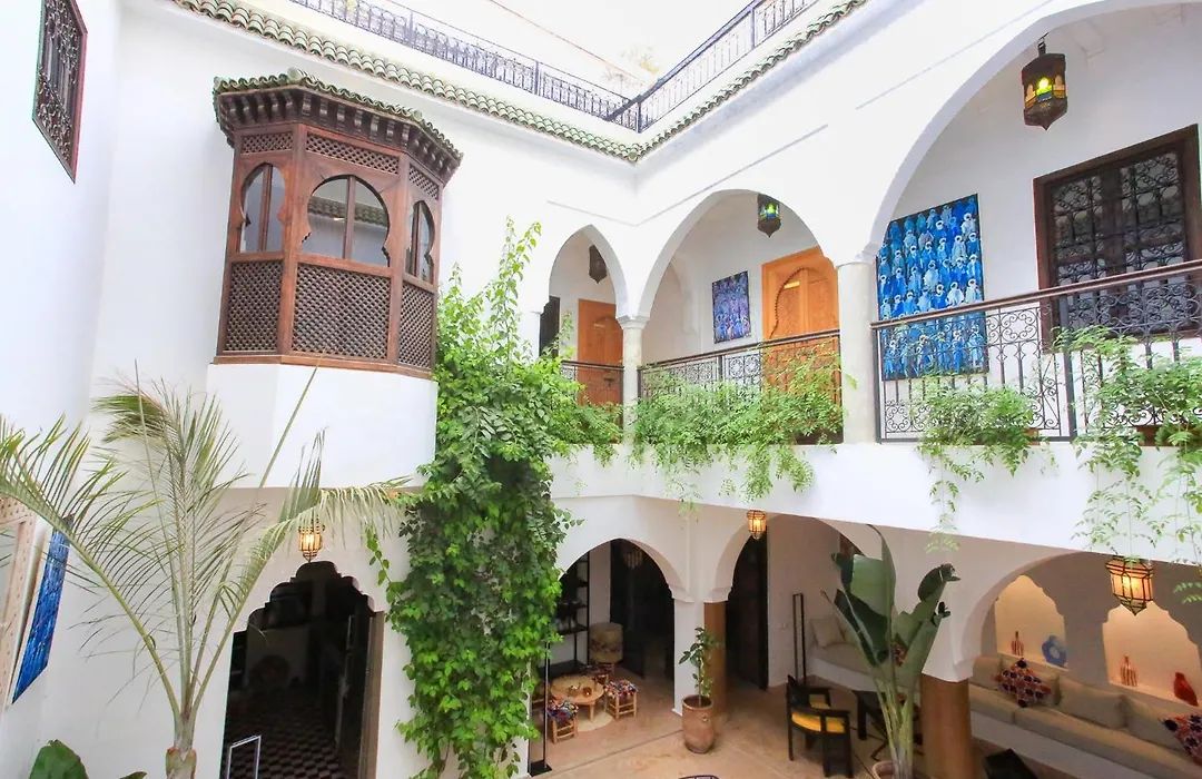 Riad Tampacao-1